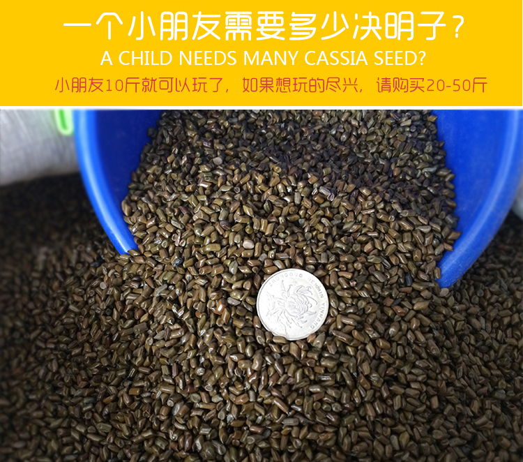 新货决明子茶散装枕芯10斤装决明子套装玩具沙决明子批量发包邮-图1