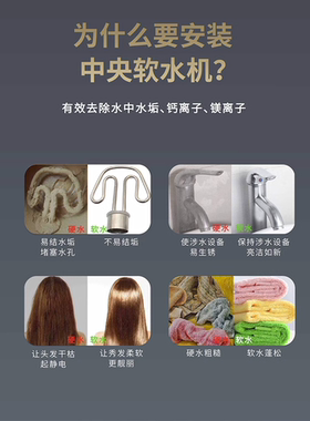 KINETICO 康尼蒂克全屋净水软净一体机中央净水机软水机4040S OD