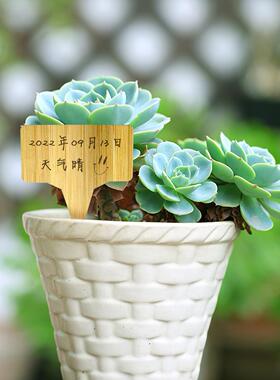 玖亿园艺花卉插牌工厂直销定制