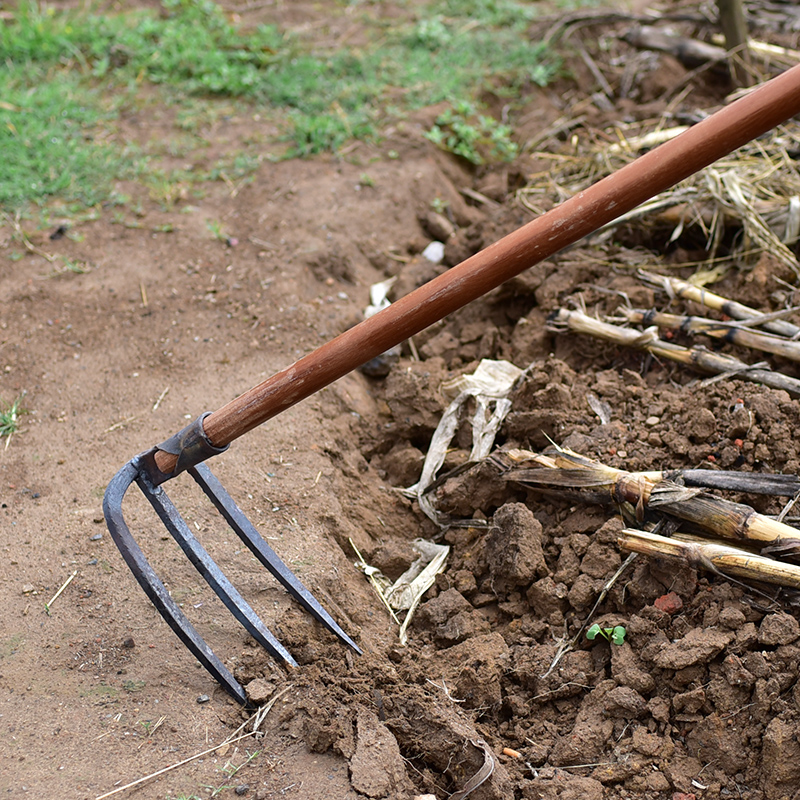 农用翻土刨地工具农具两齿三齿钉耙户外挖土铁耙铁耙子二齿三齿耙,淘宝优惠券,粉丝福利购,淘宝优惠卷