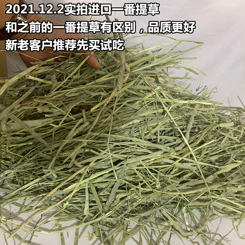 进口提摩西草雪提摩草一番二番三番提草兔兔荷兰猪干草牧草