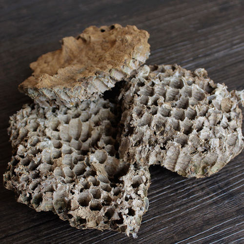 中药材 蜂房 露蜂房 马蜂窝 蜂巢 野蜂窝 黄蜂窝 500克包邮正品 - 图2