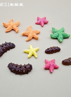 仿真小海参海星模型树脂材质鱼缸沙滩造景微景观摆件迷你桌面装饰