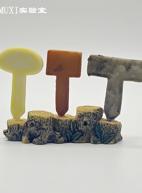 微景观摆件桌面盆栽树脂