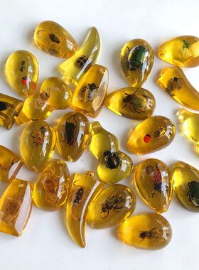 夜光琥珀真昆虫标本 儿童挖掘考古盲盒吊坠配件 树脂配件昆虫琥珀