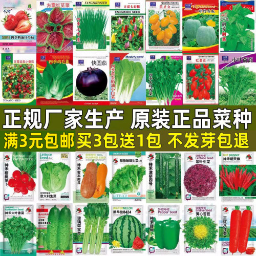 蔬菜种子四季播盆栽阳台庭院香菜生菜黄瓜西瓜南瓜春季菜籽种大全 - 图0