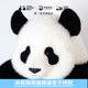 Panda Factory Feiyun simulation doll skeleton doll