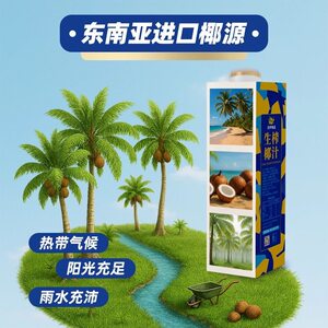 正宗苏萨生榨椰汁特种兵椰子水椰子汁椰青汁纯天然椰汁1L装方盒