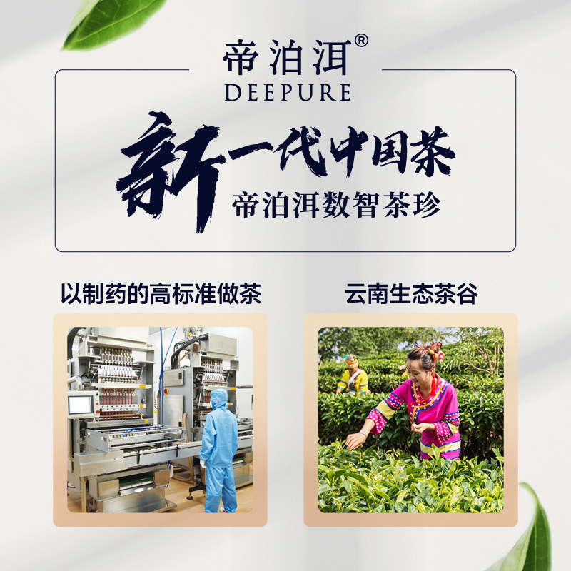 云南帝泊洱普洱茶珍冷泡速溶茶粉DIY奶茶奶盖即溶茶甘醇熟茶10支 - 图1