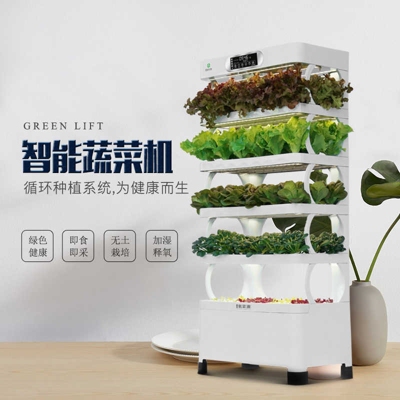 发芽种子水培 新人首单立减十元 21年8月 淘宝海外