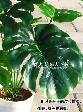 绿色植物盆景塑料龟背叶特价包邮