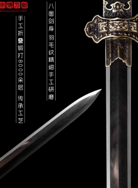 龙泉市秦王唐剑羽毛纹