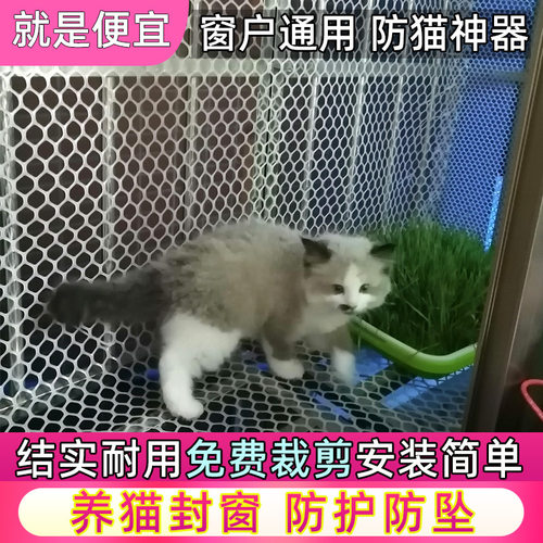 阳台防护网塑料网防掉东西窗户围网防盗窗垫板安全网防猫防坠封窗 - 图3