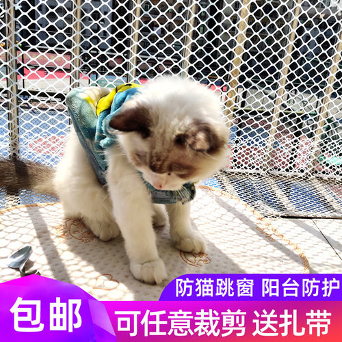 阳台防护网塑料网防掉东西窗户围网防盗窗垫板安全网防猫防坠封窗 - 图2