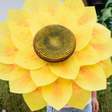 Танцевальные реквизиты на подсолнечные зонтики игры открытие клуба вход в клуб брюк