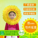 Подсолнечная головка набор солнечных цветочных лиц выставленные выступление подсолнечника спортивная встреча для головных уборов.