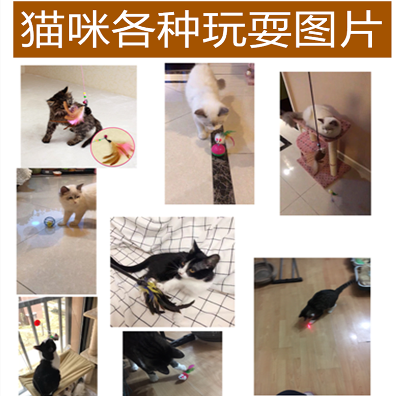 猫咪用品猫玩具自嗨激光老鼠逗猫棒逗猫杆火鸡毛磨牙羽毛铃铛薄荷-图2