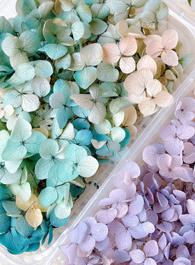 永生花绣球diy手工diy礼物仿真花