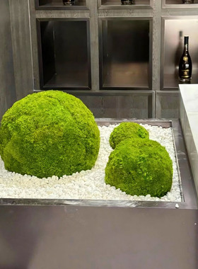手工制作精品永生苔藓球