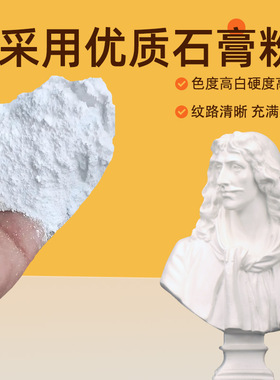 大卫石膏像海盗人物艺考写生雕塑摆件模型装饰居家美术写生头像