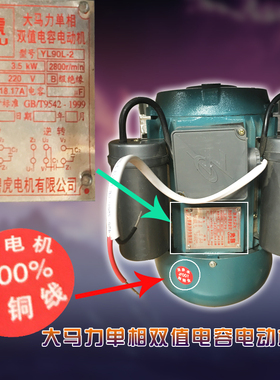 沙县小吃绞肉打肉机混沌扁食扁肉云吞商用3.5kw铜线铸铁不配插头
