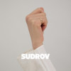 SUDROV Sujue Light Luxury 18K Gold Tail Ring