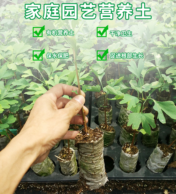 草莓土营养土多肉土种植土肥土养花土种菜土壤有机大包通用型包邮 - 图1