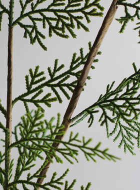 仿真绿色植物松柏家居装饰花艺