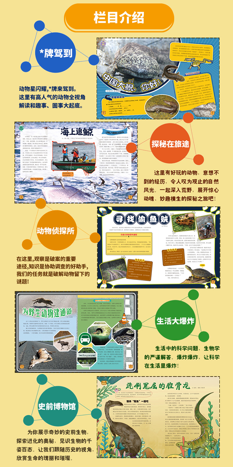 【现货】奇趣百科动物故事杂志2025年1-4月【全年/半年订阅/2024年】6-12岁中小学青少年儿童动物科普百科小聪仔博物好奇号过刊