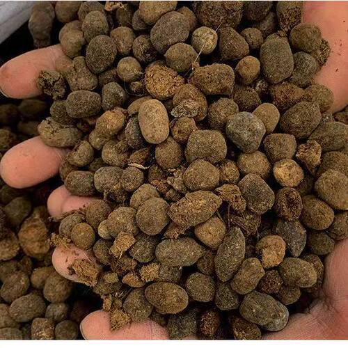 发酵纯羊粪颗粒腐熟纯羊粪蛋有机肥通用型肥料营养土兰花专用花土 - 图3