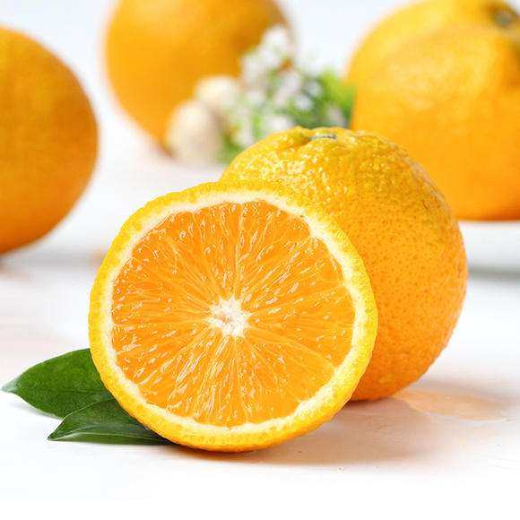 花彩橘子树果苗盆栽果树苗桔柚子春见耙耙柑树苗阳台庭院好养好吃 - 图3