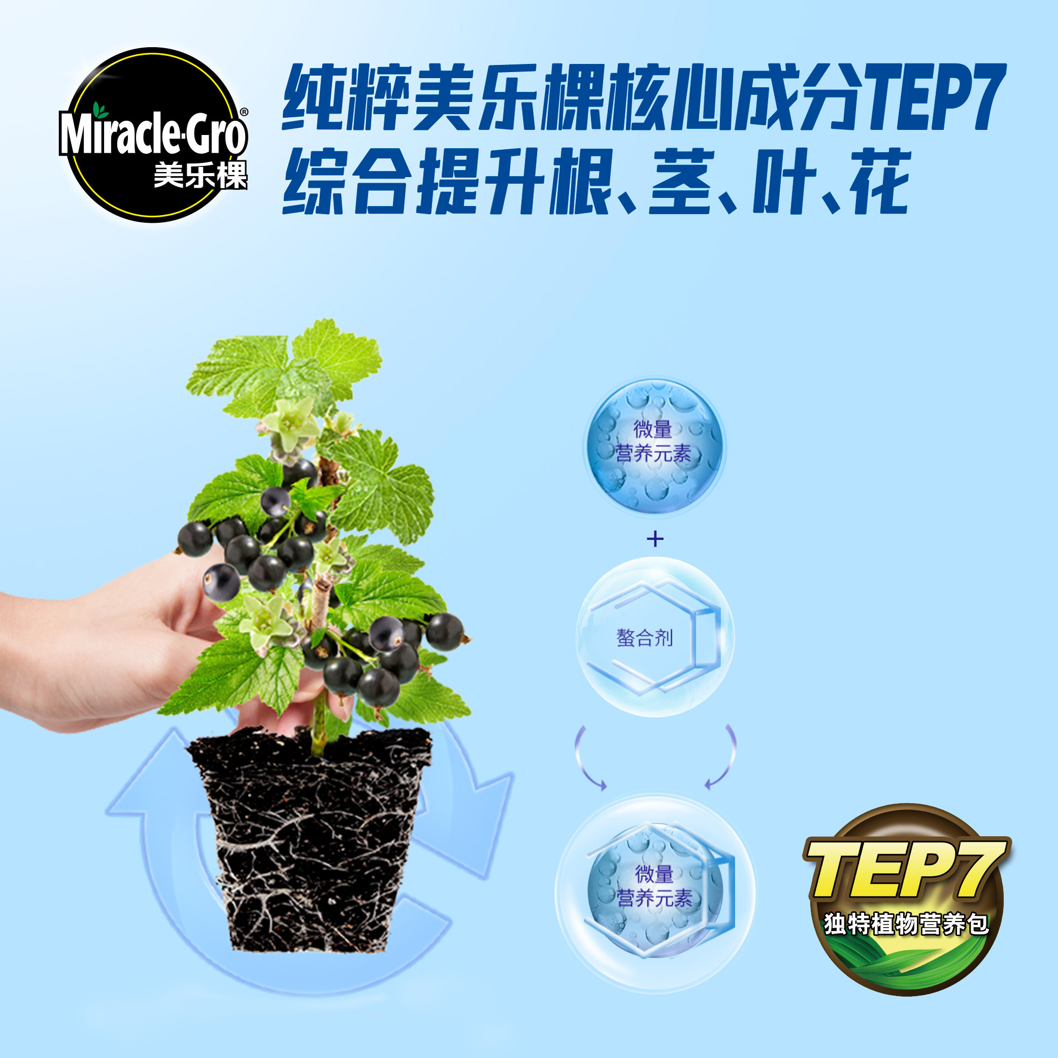 美乐棵浆果型专用浓缩营养液蔬果草莓蓝莓树莓家用种菜肥料通用,淘宝优惠券,粉丝福利购,淘宝优惠卷