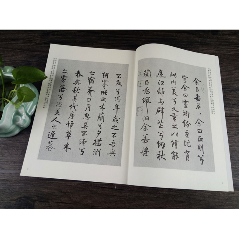 中国古代法书选 米芾书离骚经 历代经典碑帖 毛笔书法练字帖书籍 软笔碑帖临摹 释文解析 简体旁注 魏文源  江苏美术出版社 - 图2