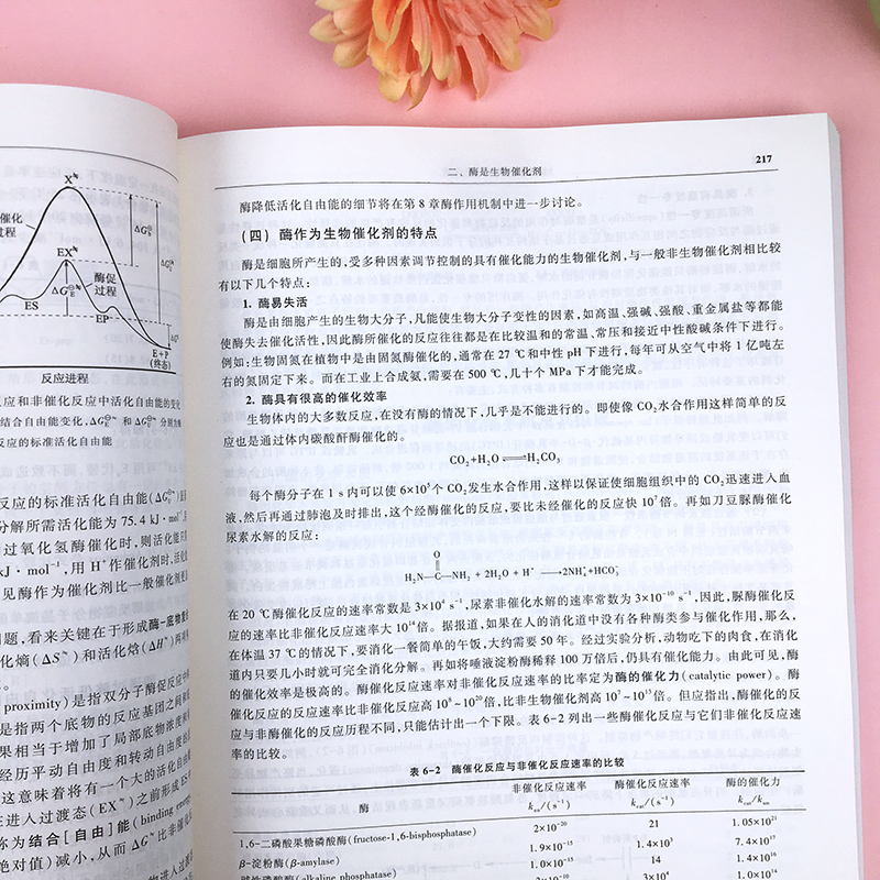 生物化学 第四版第4版 上下册教材+同步辅导习题集含考研真题 朱圣庚徐长法 高等教育出版社 王镜岩沈同生物化学教程338考研辅导书 - 图2