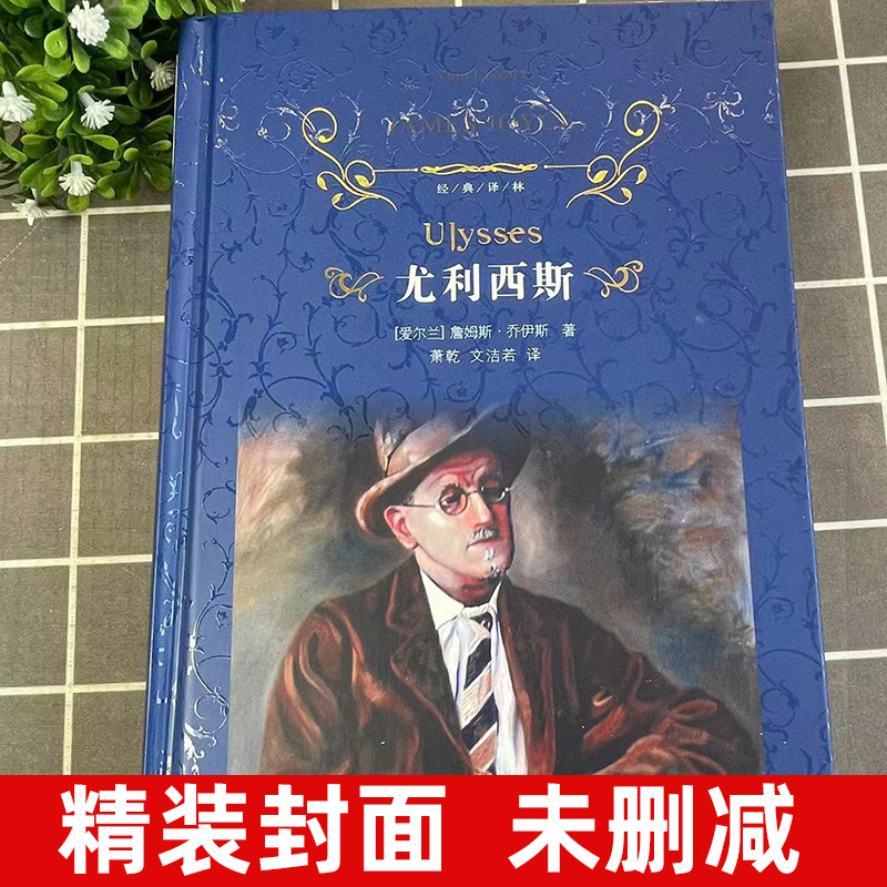 尤利西斯原版114万字完整版无删减萧乾文洁若翻译意识流小说世界名著译林出版社人民书ulysses文学尤利希斯高中生大学生课外书 - 图0