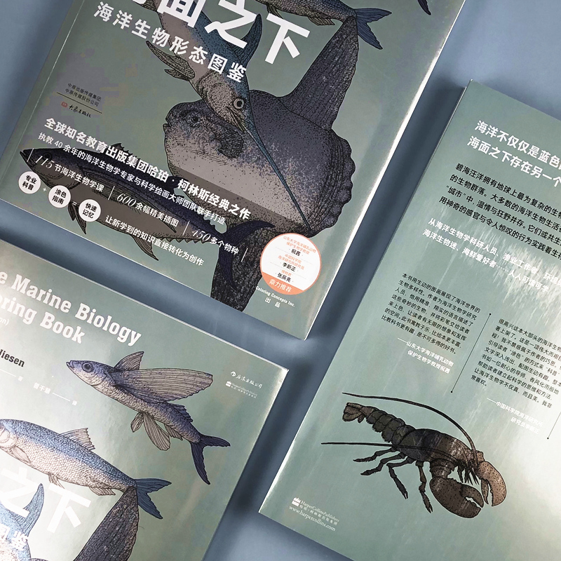 海面之下 海洋生物形态图鉴经典之作 自然科普涂色书 博物君推荐 海洋生物知识普及读物 - 图1