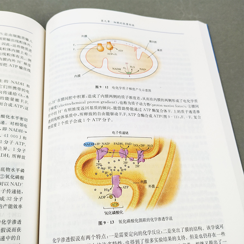 医学细胞生物学第五版第5版左伋郭锋复旦大学出版社基础医学教材临床预防护药学理医学生物技术等专业医学教材书籍-图3