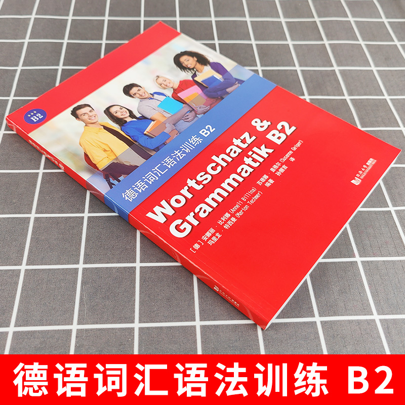 德语词汇语法训练 B2 安娜丽比利娜 同济大学出版社 德语语法词汇习题集 德语语法解析与训练德语词汇用书 可搭新求精德语语法精解 - 图0