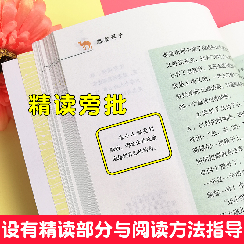 骆驼祥子和海底两万里人民文学出版社七年级下册正版原著老舍初一7下语文课外书阅读书籍名著图书初中版七下创业史红岩人教版 - 图2