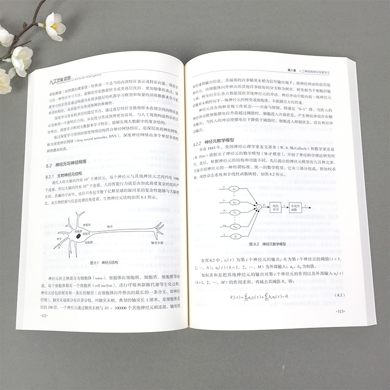 人工智能导论 面向非计算机专业的人工智能入门书籍 新一代信息技术丛书李德毅 中国人工智能学会组编 中国科学技术出版社 - 图2