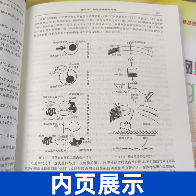 全套3册苏宏鑫讲义+练习正版高中生物奥赛讲义上中下册第七版+同步配套练习浙大优学中学生物真题强基奥林匹克生物竞赛集训教材-图1