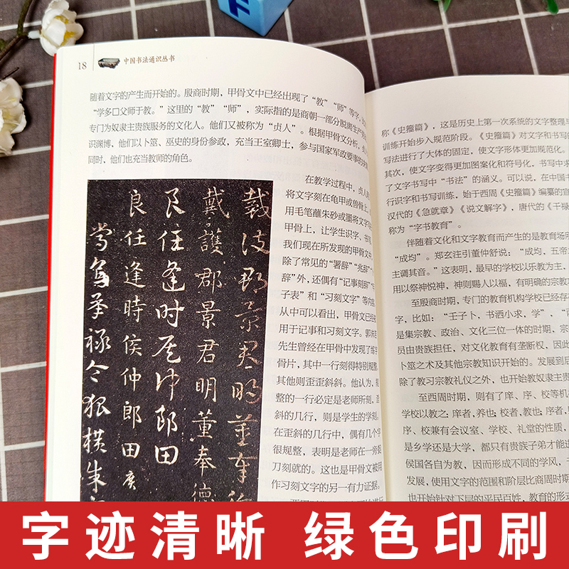 中国书法通识丛书 百代书迹 中国书法简史 崔树强 著  书法审美鉴赏 书法创作技法兼具学术性及普及性 江西美术出版社 - 图3