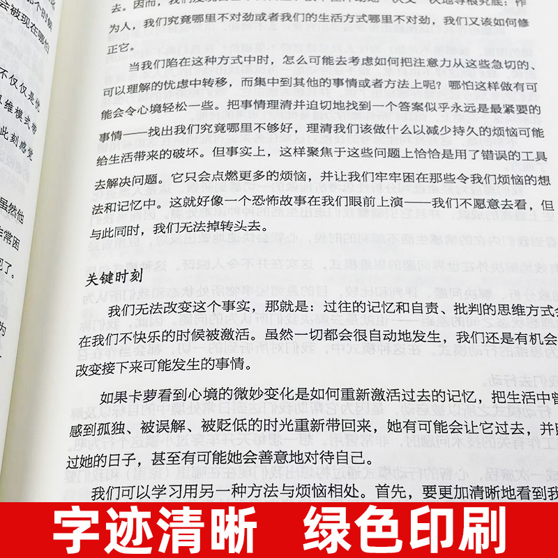 官网正版 穿越抑郁的正念之道 马克 威廉姆斯 心理活动 情绪 自我控制 情感 疗愈力量 烦恼 心境 记忆 行动模式 目标聚焦 注意力 - 图1