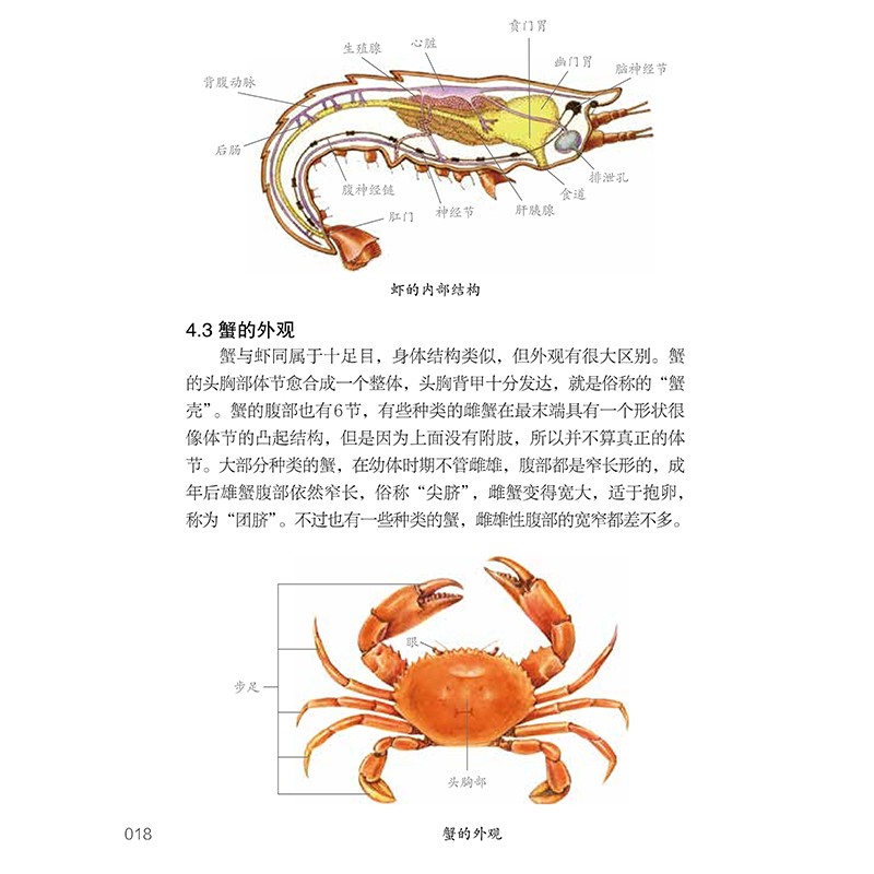 北京自然观察手册 海鲜和河鲜 无穷小亮张辰亮 介绍118种常见海鲜和河鲜科普书大全种类 水产品挑选方式特色烹饪菜谱做菜书籍食谱