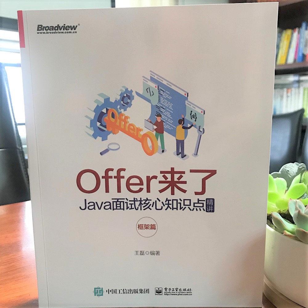 Offer来了：Java面试核心知识点精讲（框架篇）微服务网络编程分布式存储和分布式计算 知识点书籍程序员面试宝典 电子工业出版社 - 图1