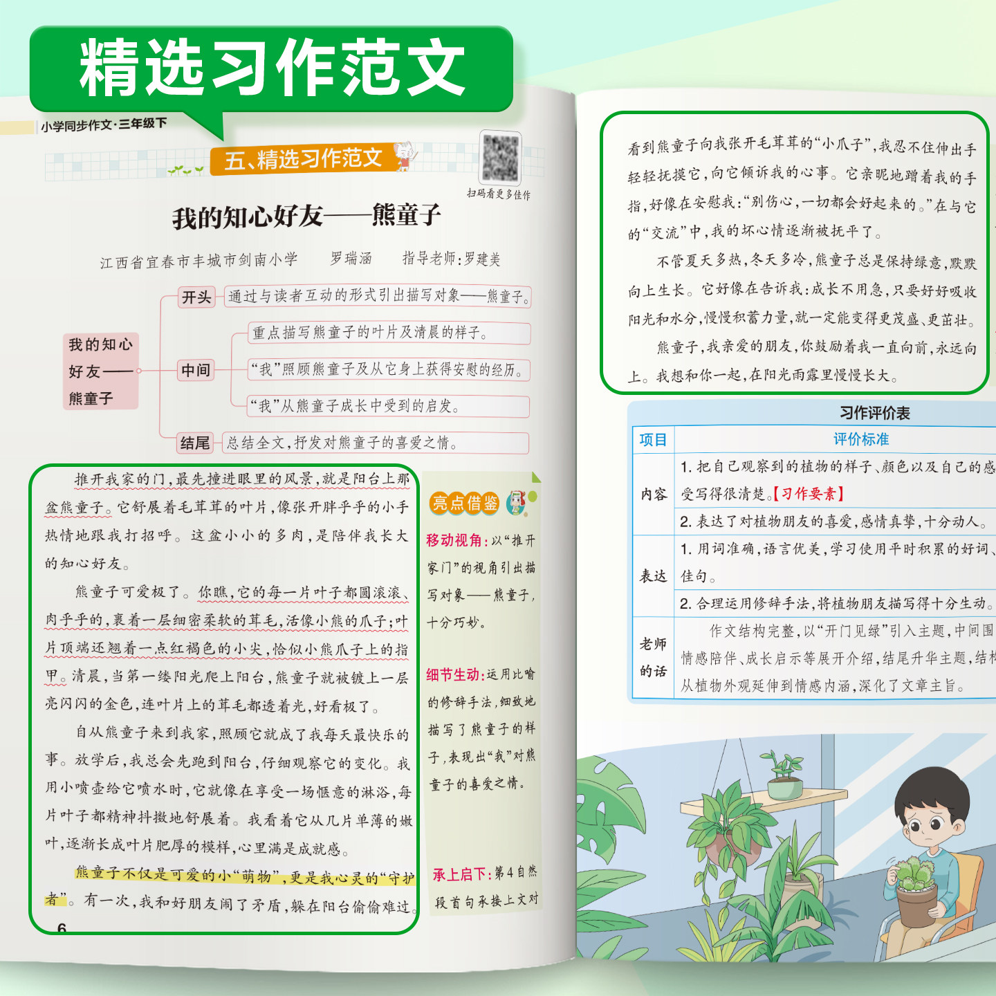 图5