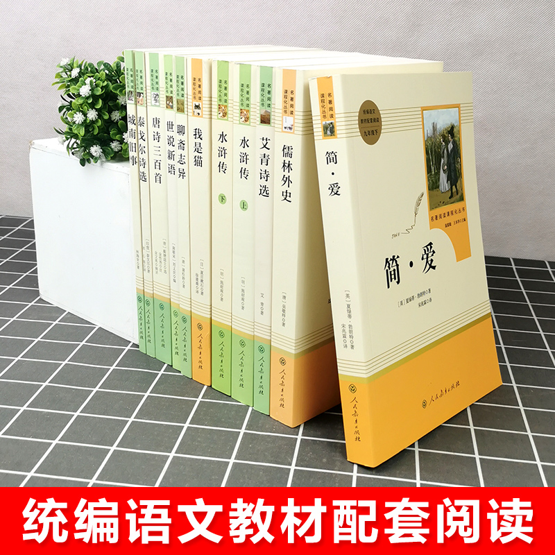 艾青诗选和水浒传原著正版完整版儒林外史和简爱人民教育出版社人教版初中生九年级上册下册课本全套非必读课外阅读书籍名著初三 - 图0