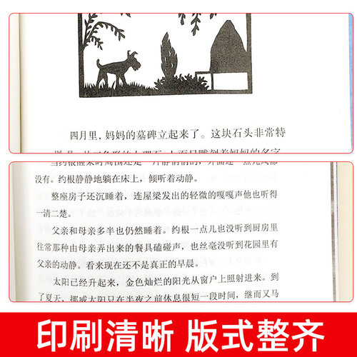 共2册 妈妈走了海茵著彩乌鸦系列总有一 天会长大书正版 四年级课外书校园儿童文学班主任 阅读书籍三四五六年级小学生正版 - 图2