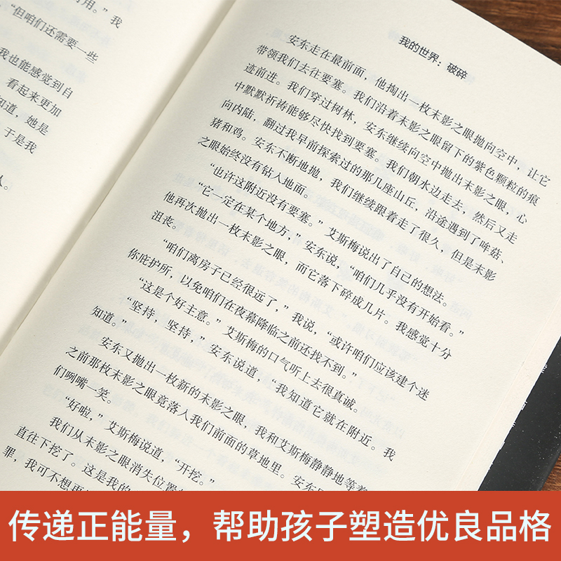 全套13册我的世界小说怪物小队苦力怕拯救地下城远航破碎海岛失落的日记末地中文版我的世界的书游戏周边科幻励志故事课外阅读书籍-图2