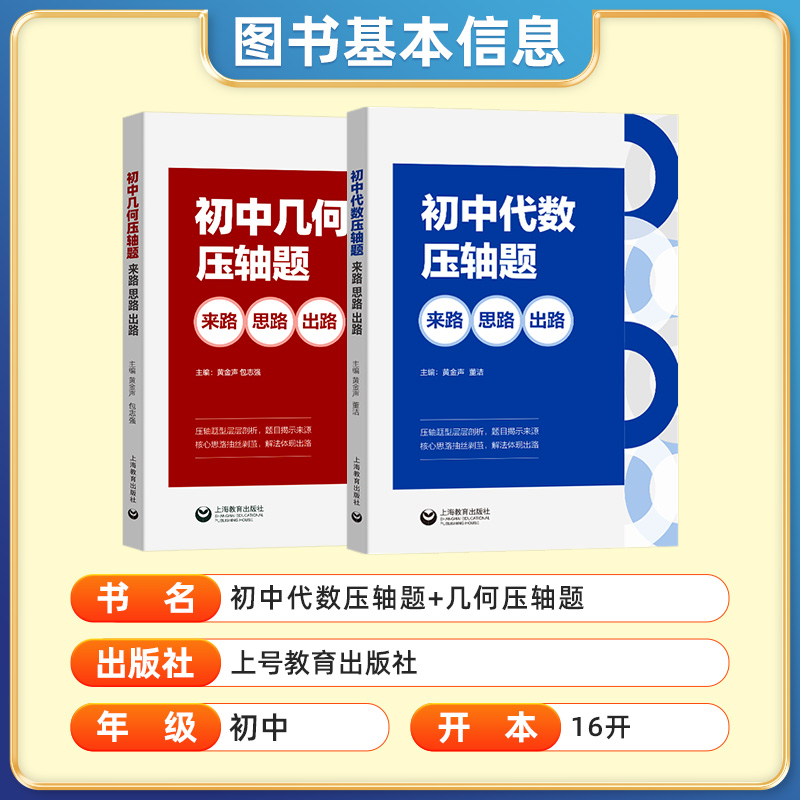 初中代数几何压轴题来路思路出路 初中数学七八九年级同步训练题库高效专项训练解题技巧有理数 初一初二初三中考压轴题 - 图0